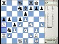 Blitz Kibitzing with GMs Nakamura, Fedoseev and Seirawan Feb 05 2013