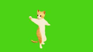 Dance Like A Cat With This Fun Green Screen !