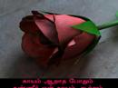 Kannil Ennenna Mayakkam