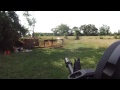 AR 15