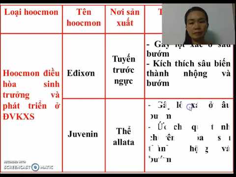 SINH HỌC 11- CÁC NHÂN TỐ ẢNH HƯỞNG ĐẾN ST-PT ĐẾN ĐỘNG VẬT