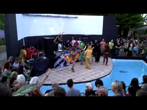 The Zoo Project vs Channel Zoo