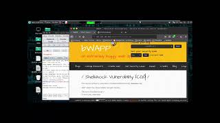 A9 Using Known Vulnerable Components - Shellshock Vulnerability Cgi