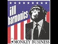 Ill Harmonics - Rock the Casbah.wmv