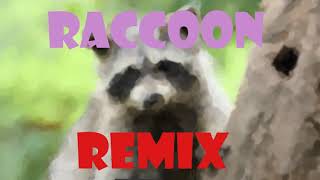 Rac Remix The Riddle Alternative Mix