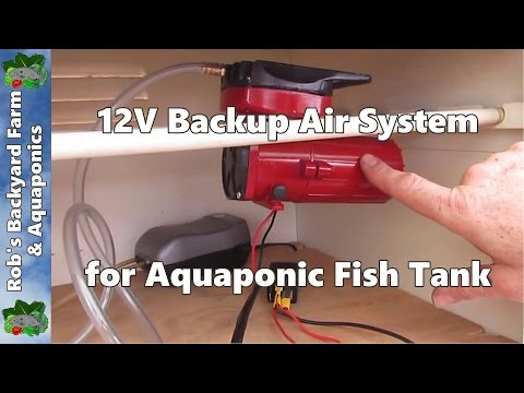 (Constant Height In Fish Tank) PIST (Pump In Sump Tank) Aquaponics 
