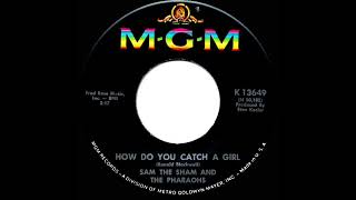 Watch Sam The Sham  The Pharaohs How Do You Catch A Girl Single Version video