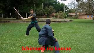 Gyokko Ryu - Taihen Jutsu Muto Dori Gata