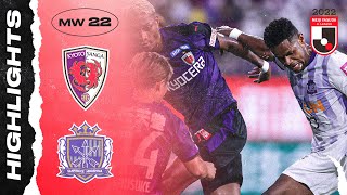 GSGleV4Cfa4 Video Image