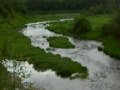 Lynna+River%2C+Leningrad+Region%2C+Russia+%28June+2009%29