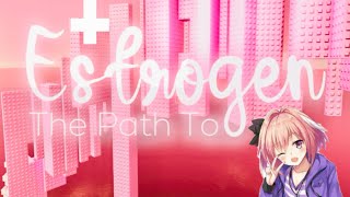 The Path To Estrogen Tier 16 Roblox Tiered Obby