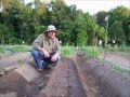 Raised Beds And Staggered Plantings - Vegetable Gardening