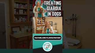 Treat Giardia In Dogs