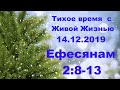 Тихое время с Живой Жизнью: Ефесянам 2:8–13 (14122019)