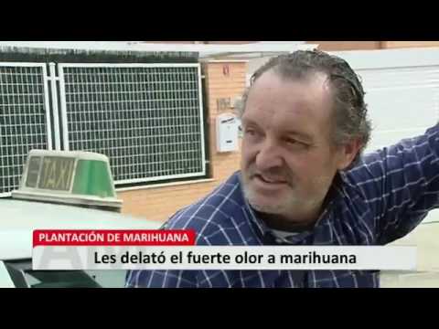 Operación antidroga en Rivas Vaciamadrid