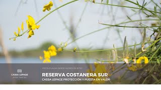 La Reserva Ecológica de Costanera Sur.
