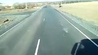 Приколы