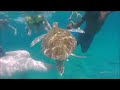 Barbados August 2016 Barbados August 2016