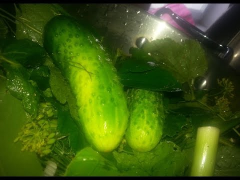 Вкусные хрустящие огурчики малосольные Вкусные хрустящие огурчики малосольные