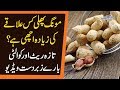 Why Peanut Prices are High In Pakistan? Mong Phali Rate In Pakistan