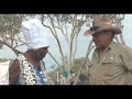 The Aboriginal Cook and the Chef: Kimberley Camp Oven Damper