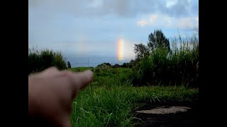 The Ultimate Guide to UFOs and Unidentified Aerial Phenomena (UAPs)