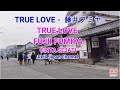 TRUE LOVE FUMIYA FUJII　藤井フミヤ  LYRICS LIRIK TERJEMAHAN INDONESIA   SUASANA KOTA JEPANG