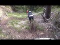 Freeride Buffaure DH