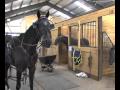 Virtual tour of Mark Ford Training Center -- USTA hoof beats