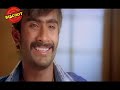 dhool
