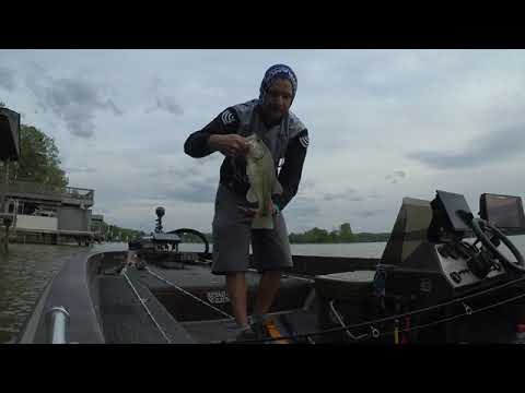 LiveScope Changed My Life (BassBoatElectronics.com)