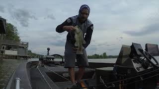 LiveScope Changed My Life (BassBoatElectronics.com)