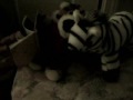 The stripes and Tiger Show Episode 1