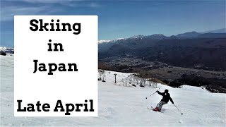 Late season In Hakuba and some dirty moguls. What's the snow like in Japan in late April. Still fun.