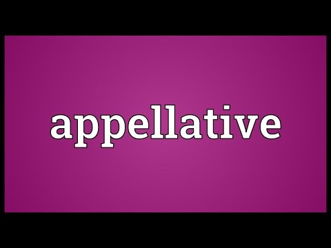 Header of appellative