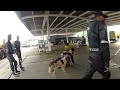 FABINHO DA HORNET - DANDO CARINHO PARA UM CACHORRO NO POSTO DE GASOLINA - AGUARDANDO O FRENTISTA