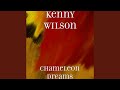 Chameleon Dreams Chameleon Dreams