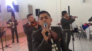 Nube De Mar Kawano Nagareno Yoni Mariachi San Francisco Nube De Mar Kawano Nagareno Yoni Mariachi San Francisco