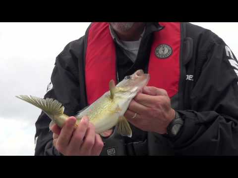 2014 Show #6: Walleye Fly-in Adventures with White River Air