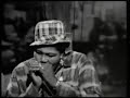 Mama Thornton, John Lee Hooker, Big Walter Horton  Dr Ross