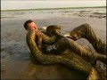 Anaconda aggredisce uomo allo zoo di Milano
