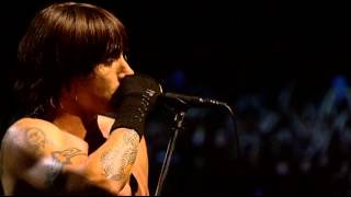 Watch Red Hot Chili Peppers Right On Time video