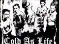 Cold As Life Video preview