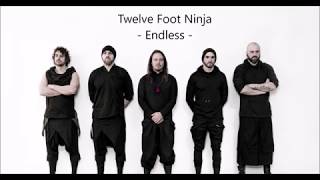Watch Twelve Foot Ninja Endless video
