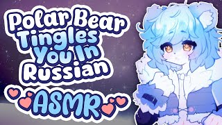Asmrasmr In Russian Polar Bear Edition Vallure