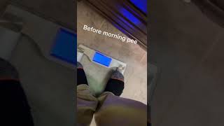 Weighing Myself Before & After Morning Pee