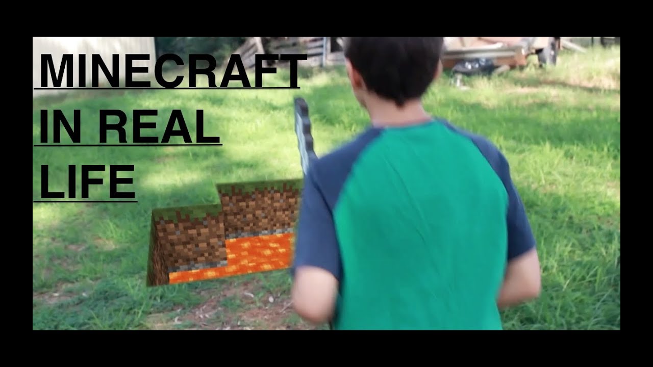 Minecraft Endermite In Real Life