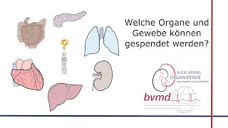 Welche Organe und Gewebe können gespendet werden? || Aufklärung Organspende