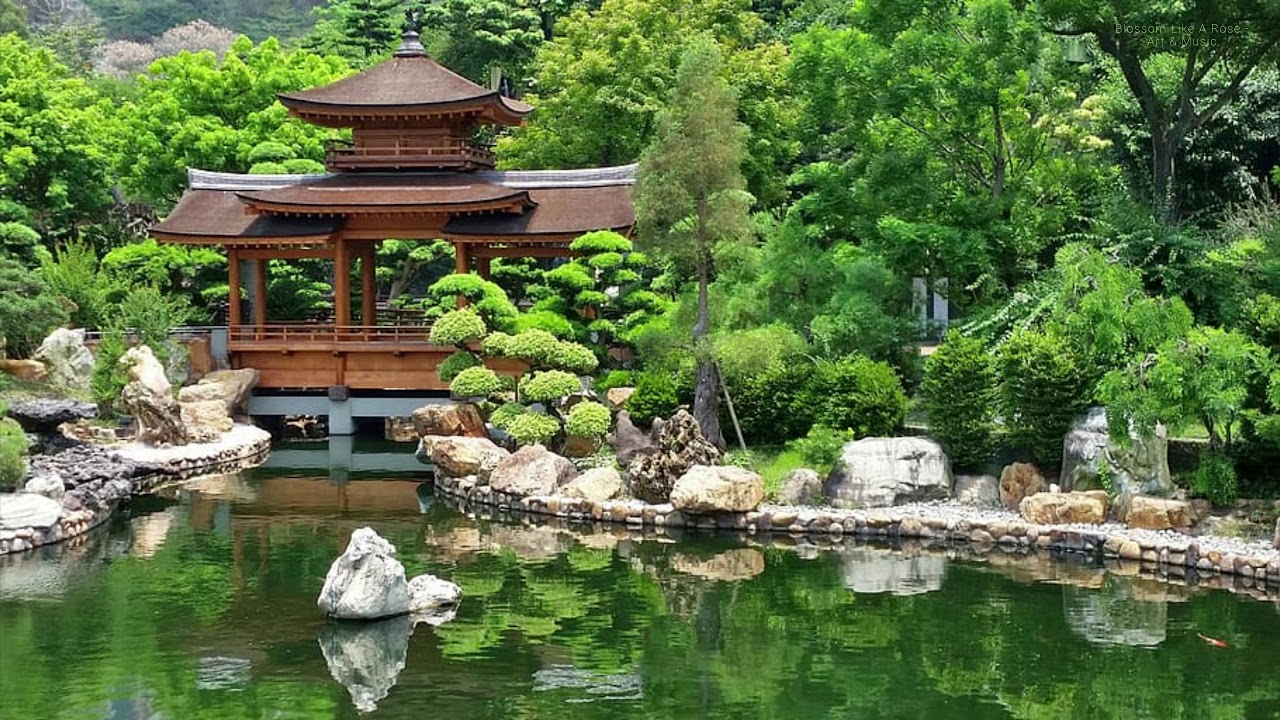 Asian garden socorro