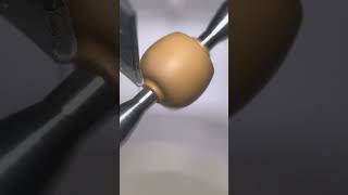 Is It The Monkey Seeds That Dont Fit